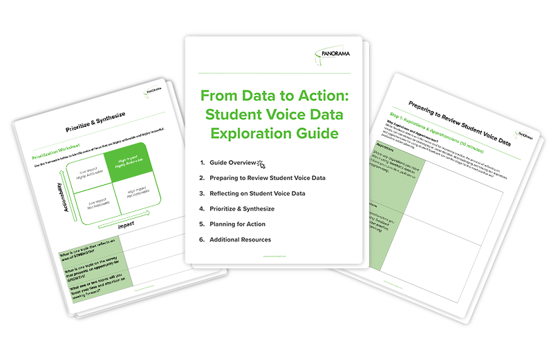 Student Voice Data Exploration Guide